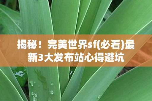 最新3大发布站心得避坑图片