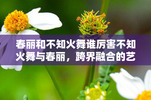 春丽和不知火舞谁厉害不知火舞与春丽图片