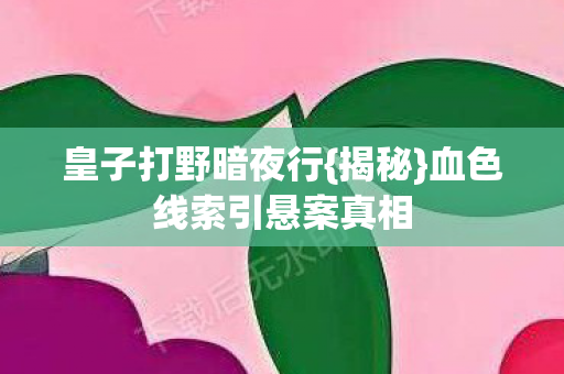 皇子打野暗夜行{揭秘}血色线索引悬案真相