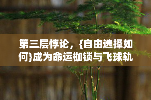 第三层悖论，{自由选择如何}成为命运枷锁与飞球轨迹