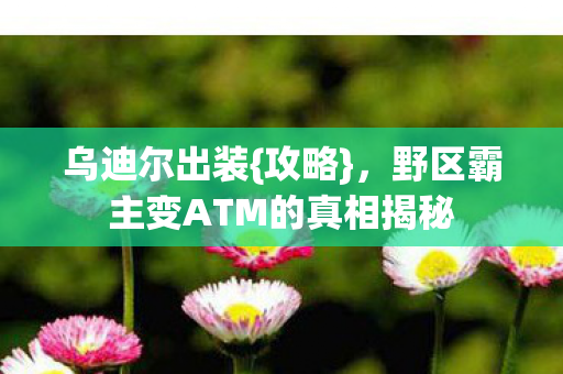 野区霸主变ATM的真相揭秘图片