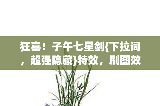 狂喜!子午七星剑{下拉词,超强隐藏}特效,刷图效率飙升50% 狂喜!子午七星剑{下拉词,超强隐藏}特效,刷图效率飙升50%