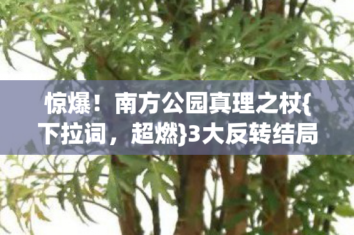 惊爆！南方公园真理之杖{下拉词，超燃}3大反转结局尖叫