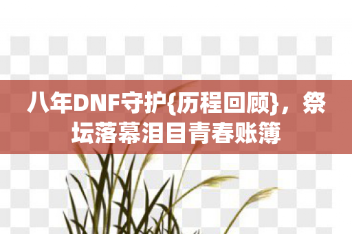 八年DNF守护{历程回顾}，祭坛落幕泪目青春账簿