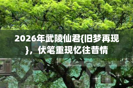2026年武陵仙君{旧梦再现}，伏笔重现忆往昔情
