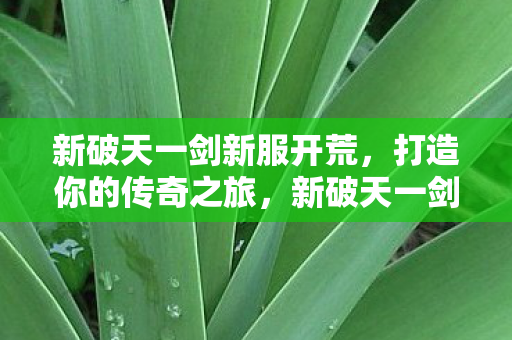 新破天一剑新服开荒，打造你的传奇之旅，新破天一剑新服开荒，开启传奇之旅