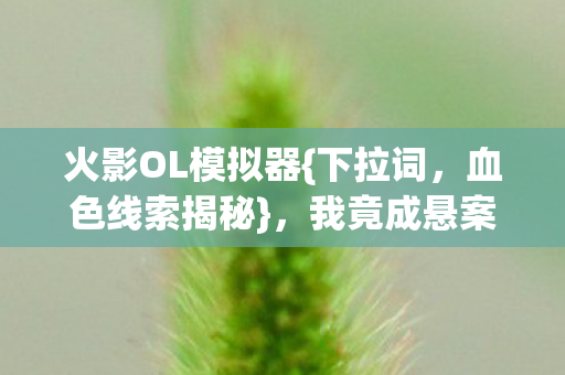 火影OL模拟器图片
