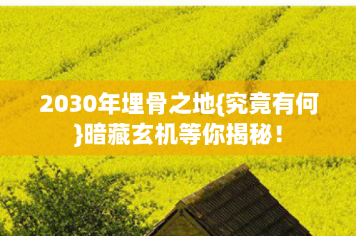 2030年埋骨之地{究竟有何}暗藏玄机等你揭秘！