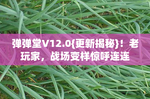 弹弹堂V12.0{更新揭秘}!老玩家,战场变样惊呼连连 弹弹堂V12.0{更新揭秘}!老玩家,战场变样惊呼连连