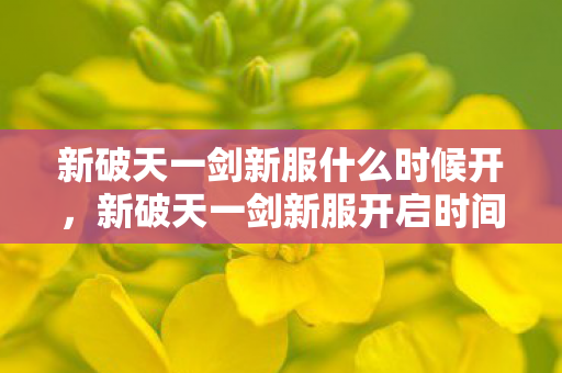 新破天一剑新服什么时候开，新破天一剑新服开启时间预告