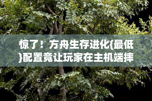 惊了！方舟生存进化{最低}配置竟让玩家在主机端摔手柄？