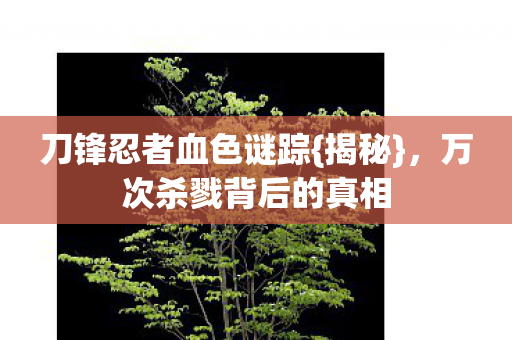 万次杀戮背后的真相图片