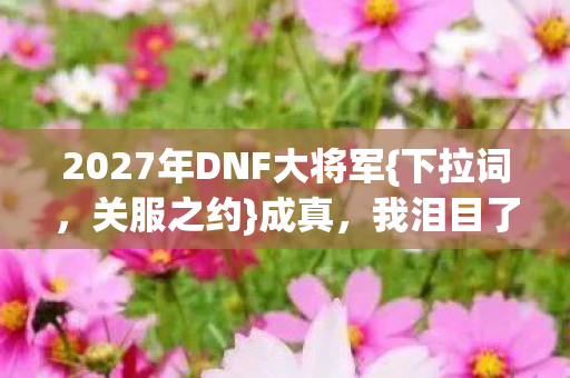 2027年DNF大将军图片