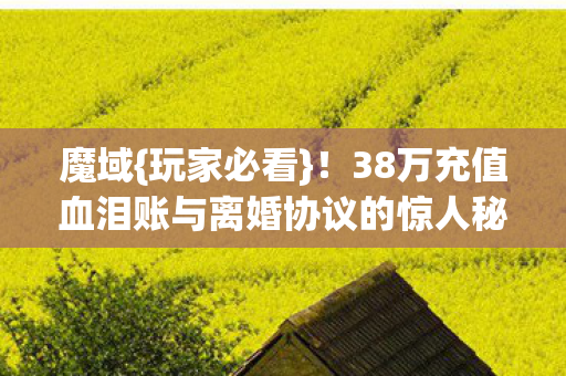 38万充值血泪账与离婚协议的惊人秘密图片