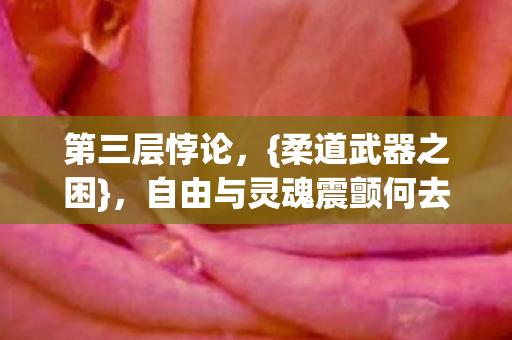 自由与灵魂震颤何去何从图片