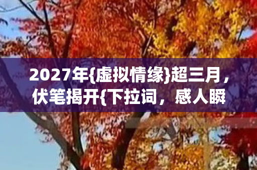 2027年图片