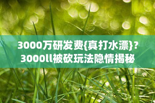 3000ll被砍玩法隐情揭秘图片