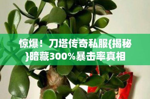 刀塔传奇私服图片