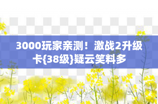 3000玩家亲测图片