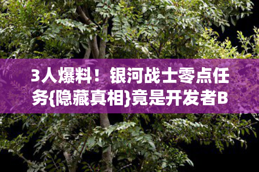 竟是开发者BOSS图片
