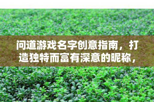 问道游戏名字创意指南，打造独特而富有深意的昵称，问道游戏名字创意指南，打造独特而富有深意的昵称
