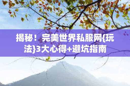 揭秘！完美世界私服网{玩法}3大心得+避坑指南
