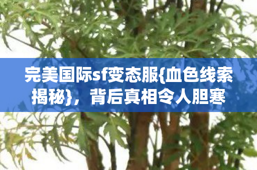 完美国际sf变态服{血色线索揭秘}，背后真相令人胆寒