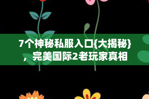 7个神秘私服入口{大揭秘},完美国际2老玩家真相 7个神秘私服入口{大揭秘},完美国际2老玩家真相