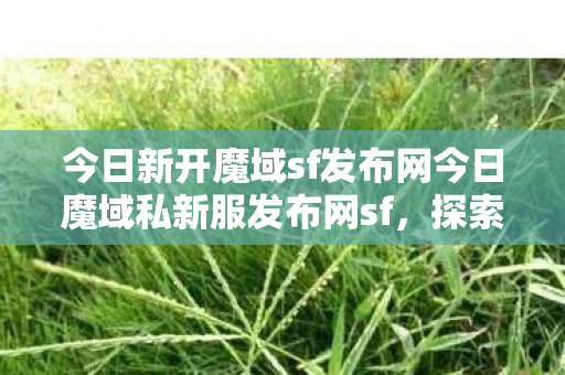 今日新开魔域sf发布网今日魔域私新服发布网sf图片