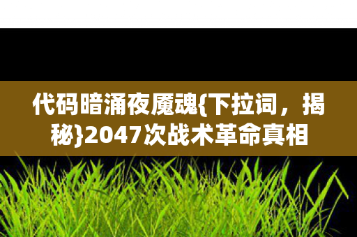 2047次战术革命真相图片
