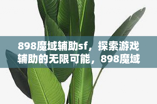 探索游戏辅助的无限可能图片