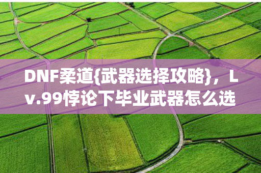 99悖论下毕业武器怎么选图片