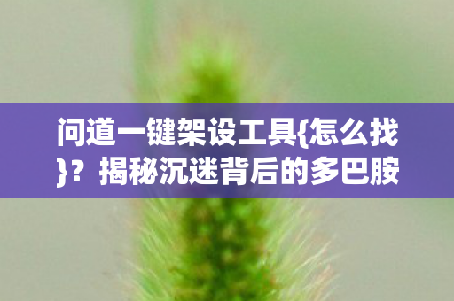 问道一键架设工具{怎么找}?揭秘沉迷背后的多巴胺陷阱 问道一键架设工具{怎么找}?揭秘沉迷背后的多巴胺陷阱