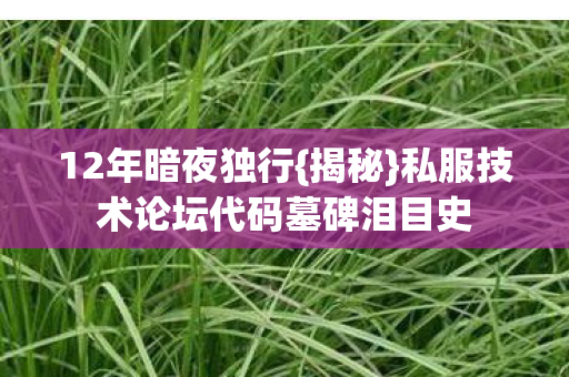12年暗夜独行{揭秘}私服技术论坛代码墓碑泪目史 12年暗夜独行{揭秘}私服技术论坛代码墓碑泪目史