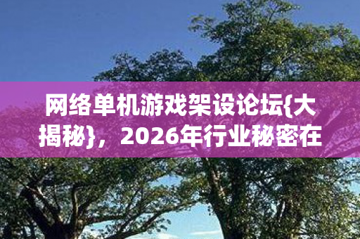 网络单机游戏架设论坛{大揭秘}，2026年行业秘密在此！