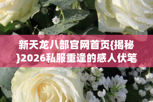 2026私服重逢的感人伏笔图片