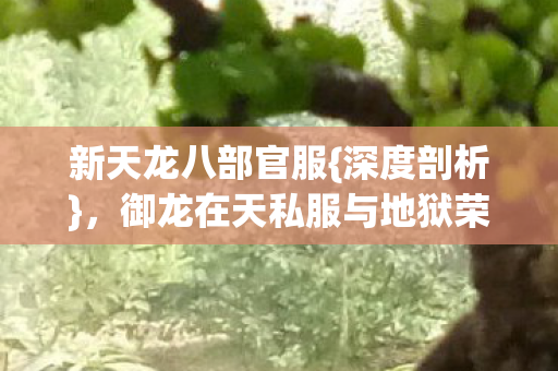 御龙在天私服与地狱荣耀之思图片