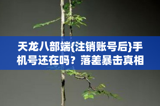 手机号还在吗图片