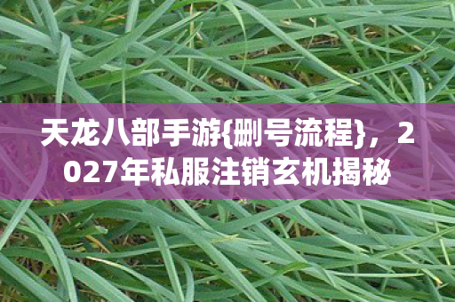 2027年私服注销玄机揭秘图片