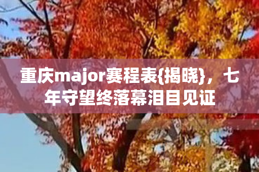 七年守望终落幕泪目见证图片