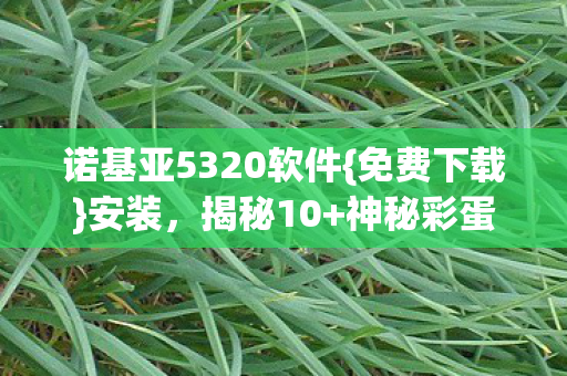 诺基亚5320软件图片