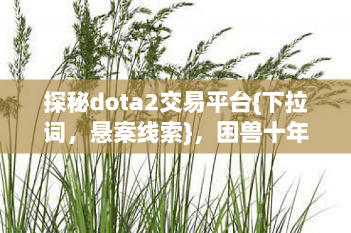 探秘dota2交易平台图片