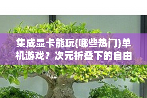 次元折叠下的自由BUG之谜图片