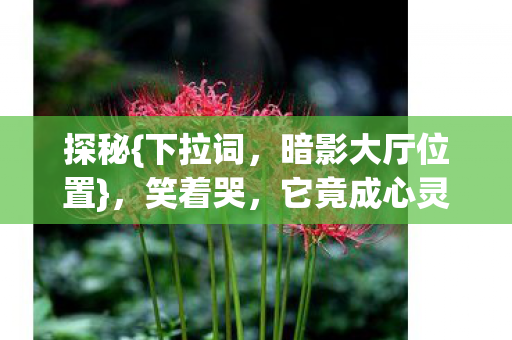 探秘{下拉词,暗影大厅位置},笑着哭,它竟成心灵避风港 探秘{下拉词,暗影大厅位置},笑着哭,它竟成心灵避风港