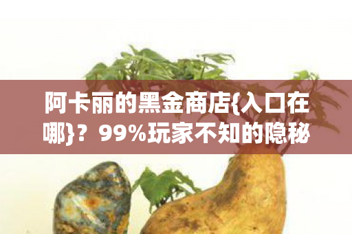 玩家不知的隐秘真相图片