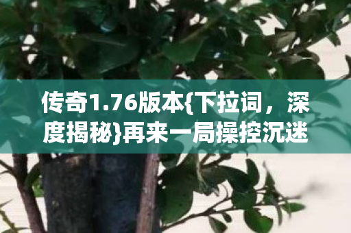再来一局操控沉迷陷阱图片