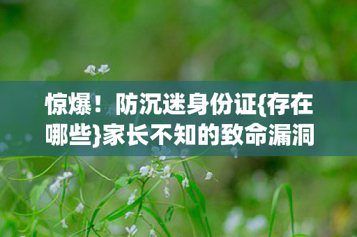 家长不知的致命漏洞图片