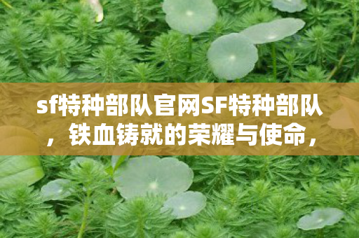 sf特种部队官网SF特种部队图片