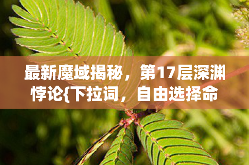 第17层深渊悖论图片