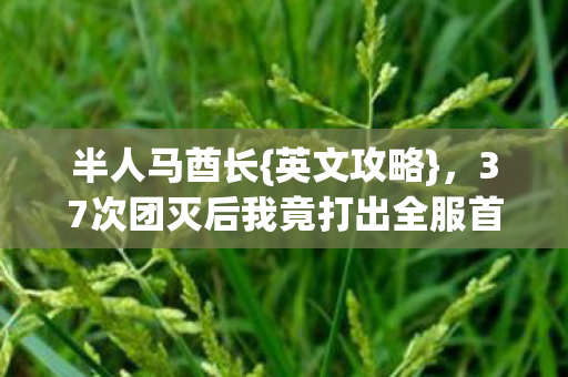 半人马酋长{英文攻略},37次团灭后我竟打出全服首通! 半人马酋长{英文攻略},37次团灭后我竟打出全服首通!
